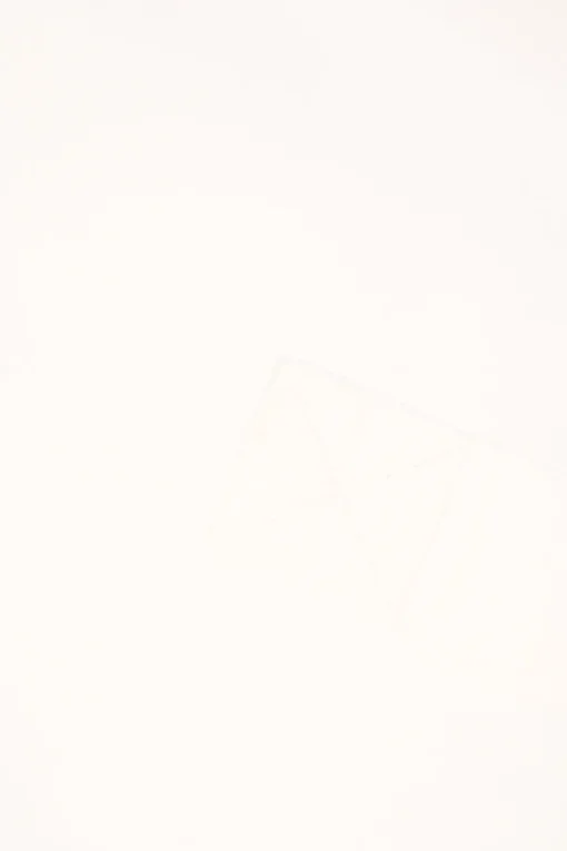 White cotton poplin wing collar half-button shirt